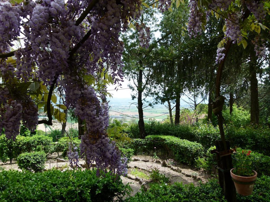 Casa Fiorita Bed & Breakfast Sant'Enea Dış mekan fotoğraf